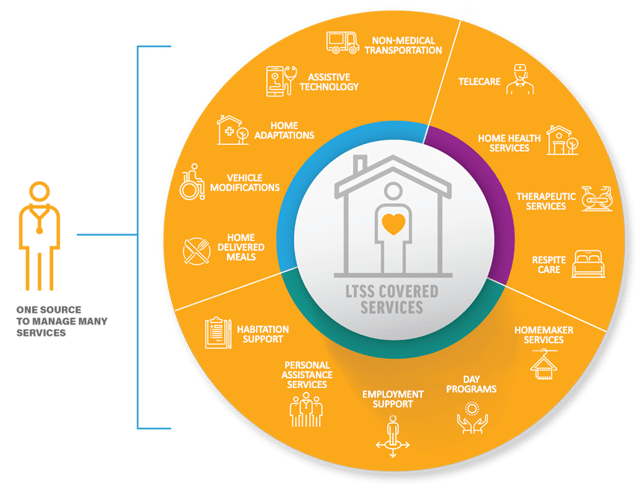 Integrated Health Services Wheel